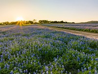 Day Trips & Beyond: March Events Roundup